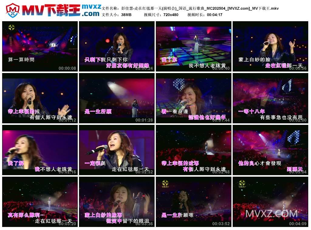 彭佳慧-走在红毯那一天(演唱会)_国语_流行歌曲_MC202504